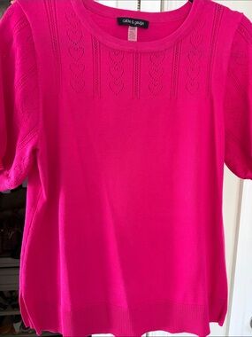 Cable & Gauge Bright Fuchsia Short Sleeve Knit Top